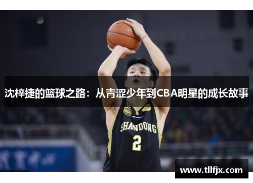 沈梓捷的篮球之路：从青涩少年到CBA明星的成长故事